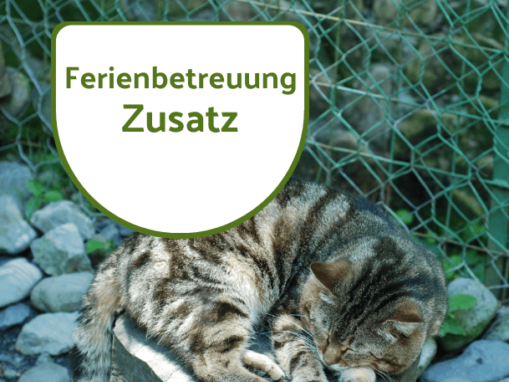 Ferienbetreuung Katzen & Co. Zusatz Shop